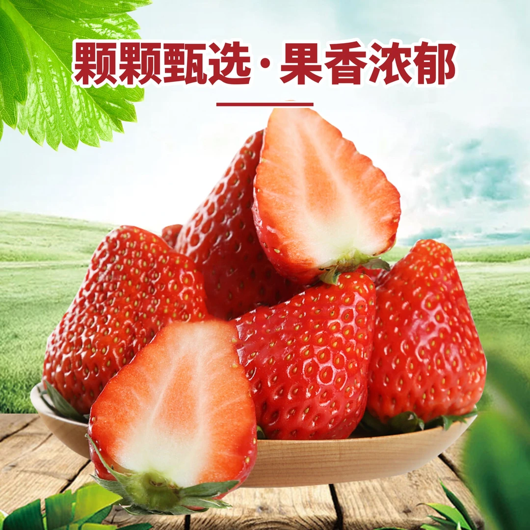 【直播福利】20g+正宗丹东九九红颜奶油草莓香甜饱满草莓专线包邮