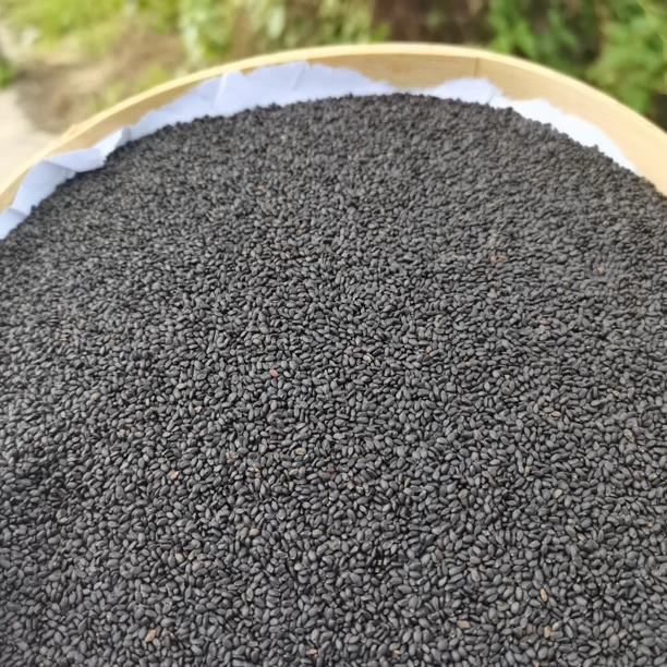 云南土特产初级农产品 兰，香，子 可搭配 枸杞