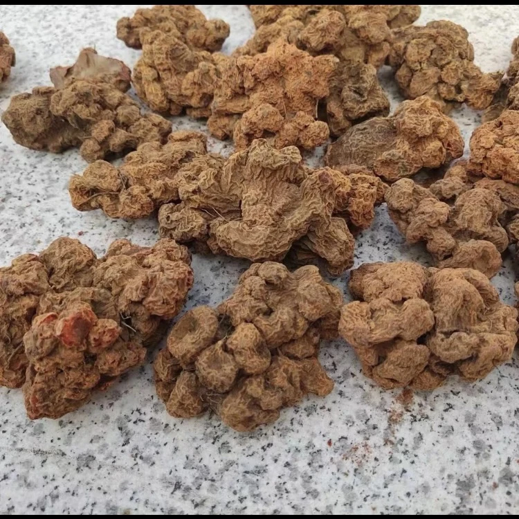 [血菩提] 云南土特产初级农产品 可搭配 枸杞