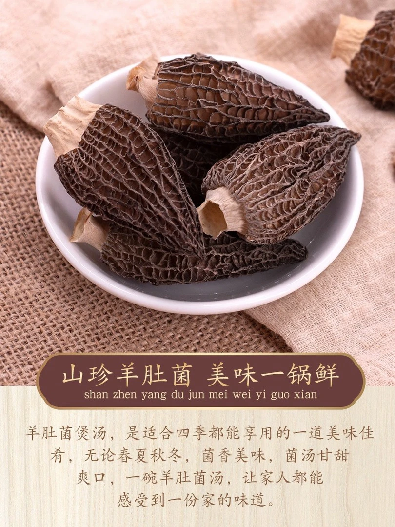 云南土特产山货羊肚菌农产品煲汤美味