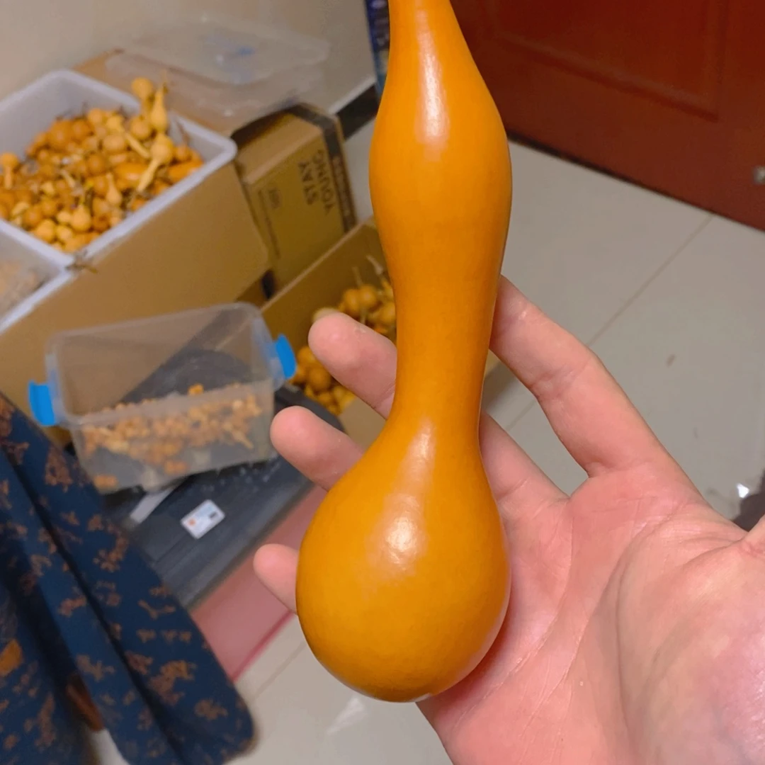 蝴****6啊啊啊啊啊啊啊啊啊啊啊啊