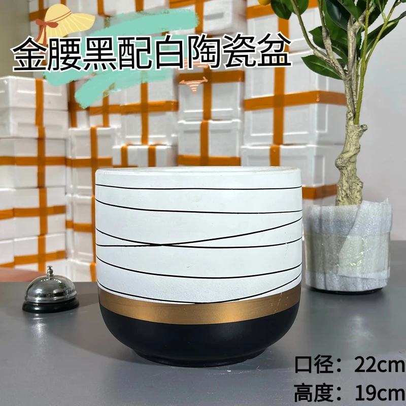 陶瓷花盆北欧现代创意小号绿植仙人掌多肉室内桌面阳台花卉盆栽盆