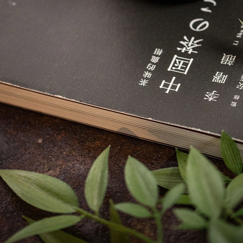 新会 小柑胎  陈皮茶 200g