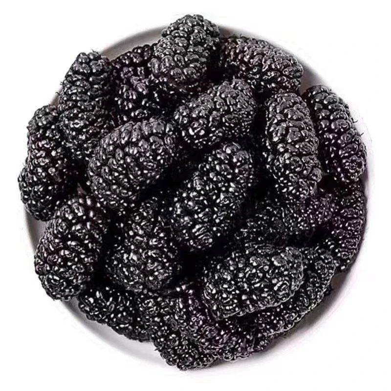 三妹家新疆无熏硫无添加桑葚