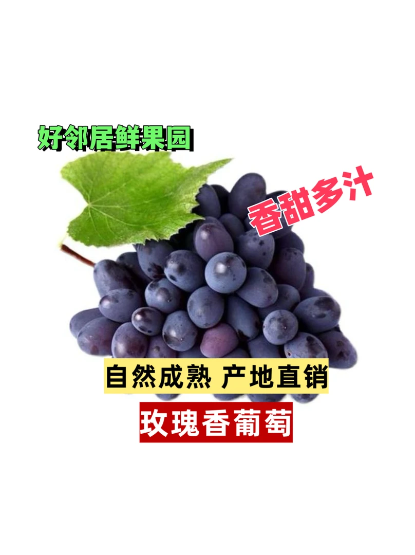 【送1斤】玫瑰香葡萄 好邻居鲜果园