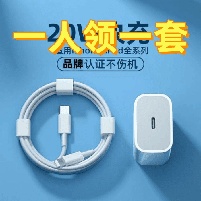 励顿 适用苹果快充充电器20/30WPD快充iPhone14/13/12/XR/8max数据线头