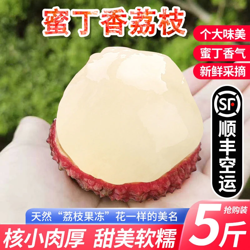 福建新鲜荔枝孕妇儿童水果蜜丁香大丁香小核荔枝3斤5斤现摘