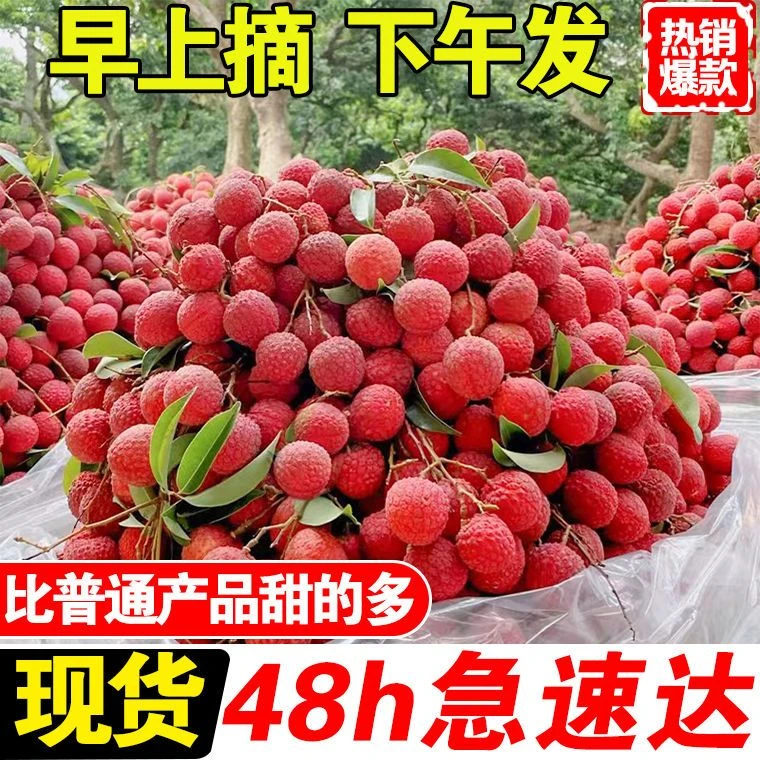 广东新鲜荔枝玉荷包荔枝非妃子笑现摘冷链应季水果整箱3/5斤