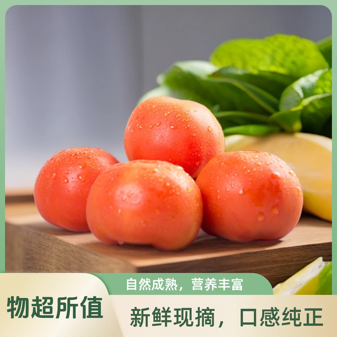 沙瓤西红柿河南产地直发酸甜适中适合炒菜生吃新鲜营养自然成熟