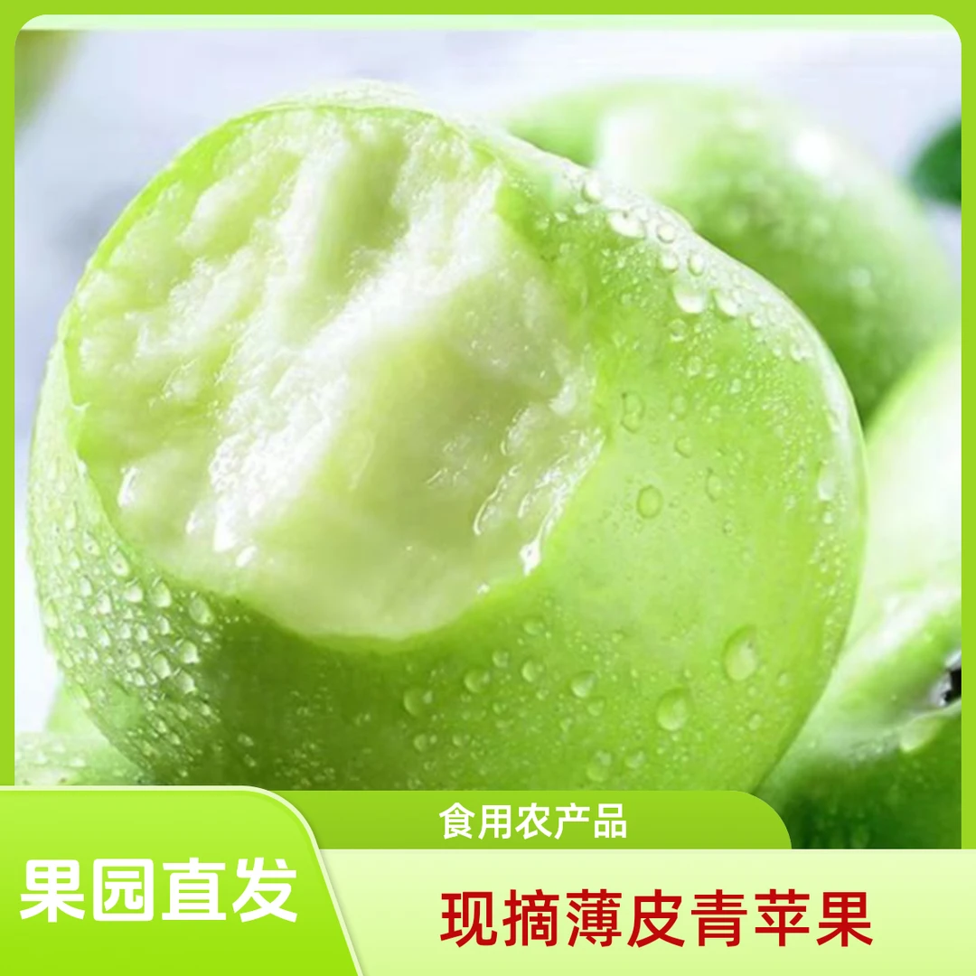 青苹果水果新鲜现摘现发果天然食用薄皮果园种植