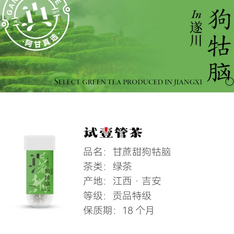 【试壹管茶金标】甘蔗甜狗牯脑绿茶全手工明前四川雅安飘雪茉莉花茶