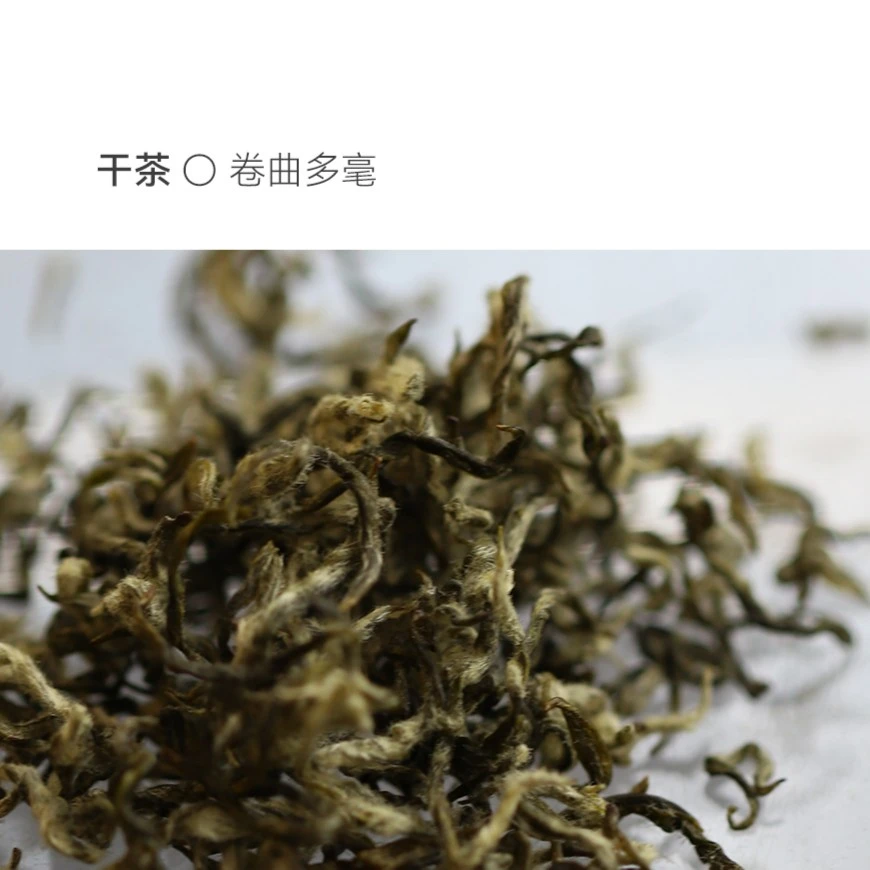 【黑标】初芽东山洞庭碧螺春绿茶明前单芽全手工一口价