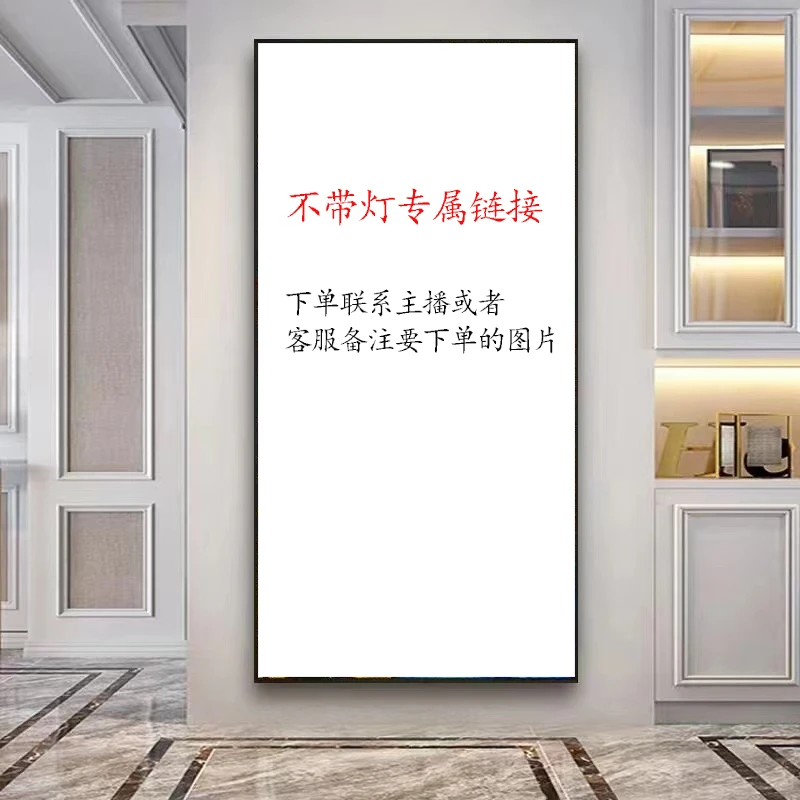 新中式现代晶瓷晶钻入户门玄关走廊过道尽头不带灯背景墙装饰挂画