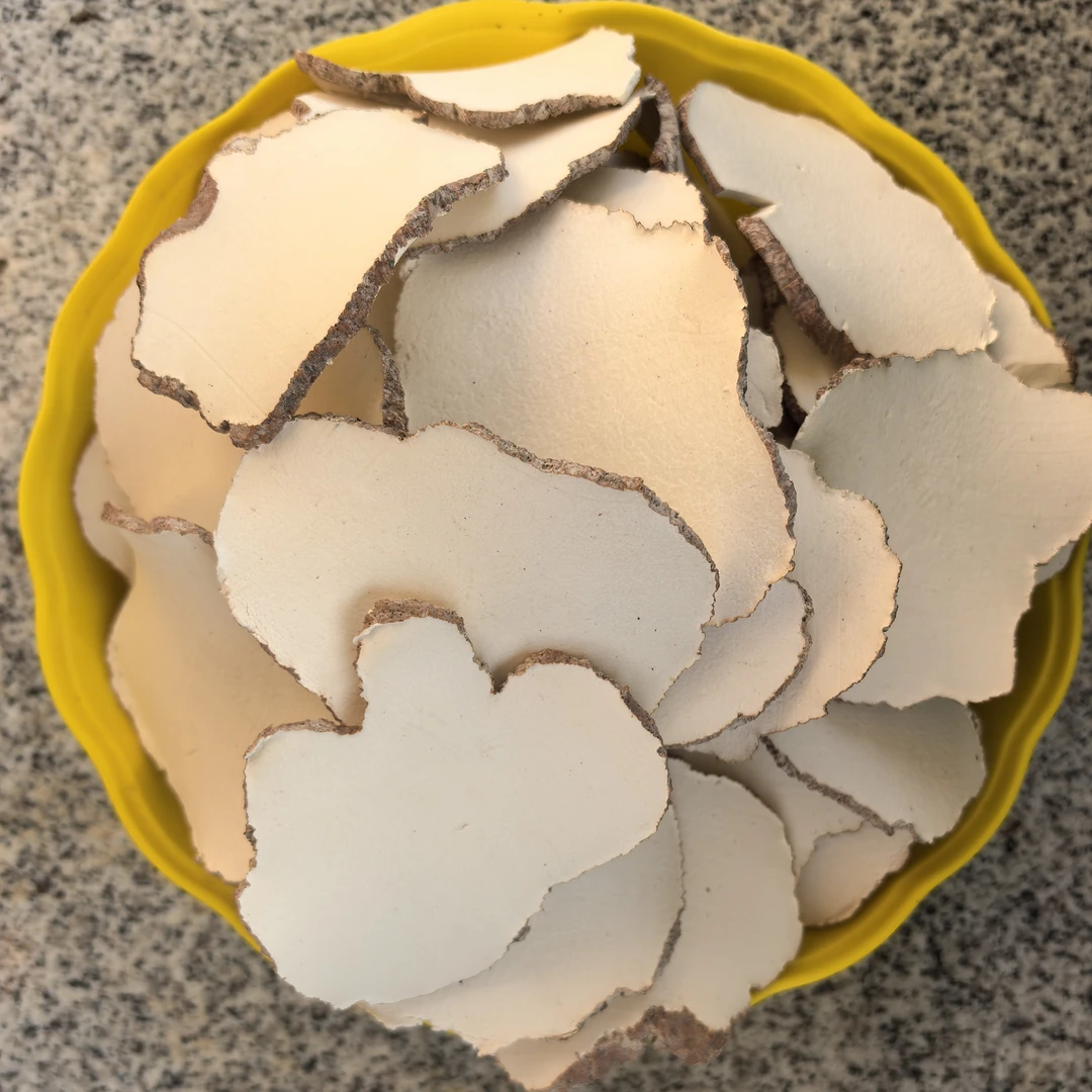 4月产清货四折--2斤装-虎乳菌（中大片） 海南虎乳菌【海南源头直供】