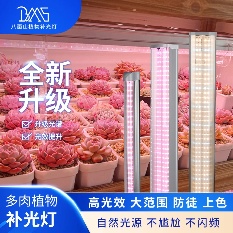 【怪咖专属】全光谱多肉LED补光灯植物上色防徒专用室内植物生长灯