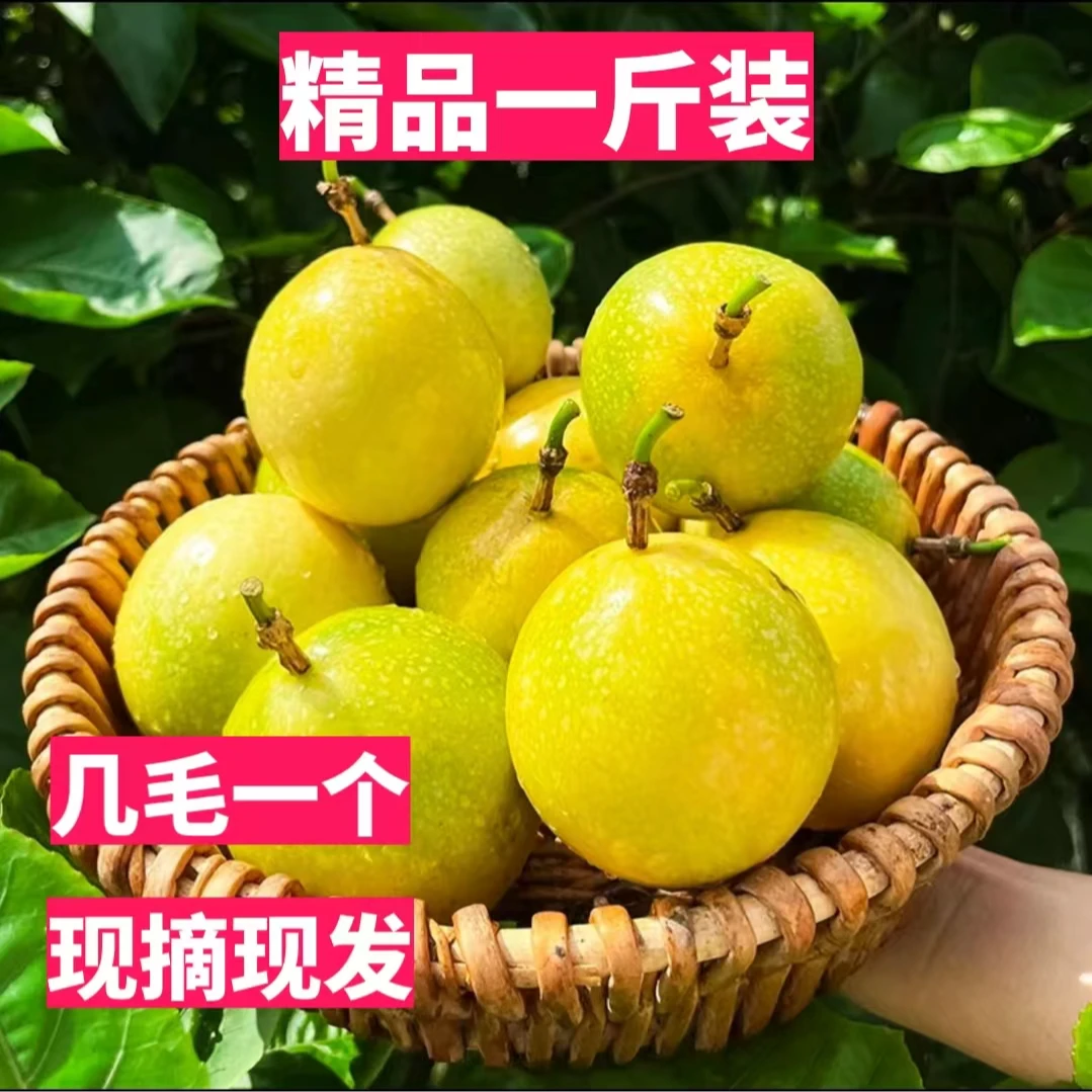 (一斤装)钦蜜9号黄金百香果新鲜大果酱柠檬百香果原浆水果整营养