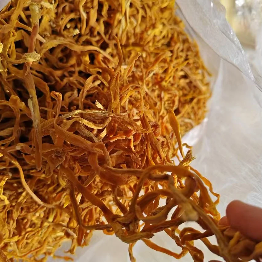 边城精选----金竹笋丝