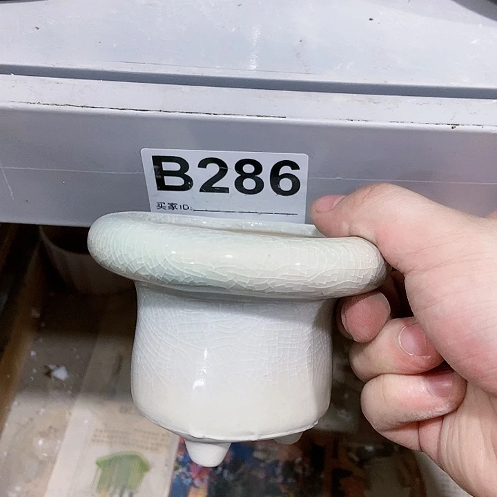红陶20CM（含）-50CM（不含）