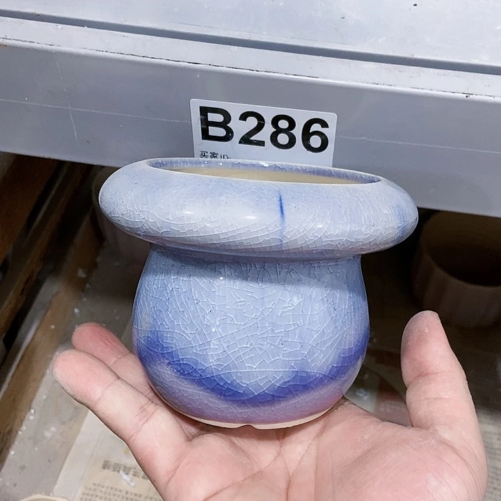 红陶20CM（含）-50CM（不含）
