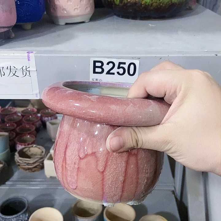 红陶20CM（含）-50CM（不含）