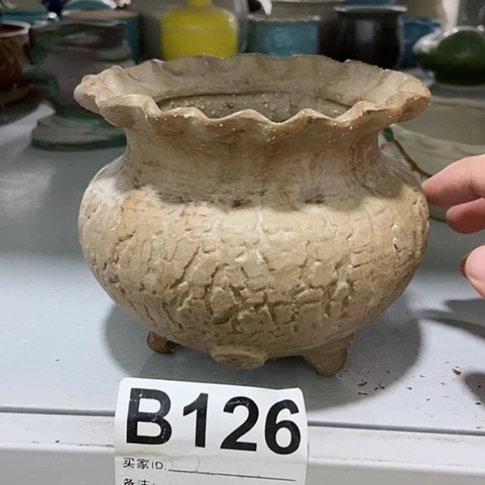 红陶20CM（含）-50CM（不含）