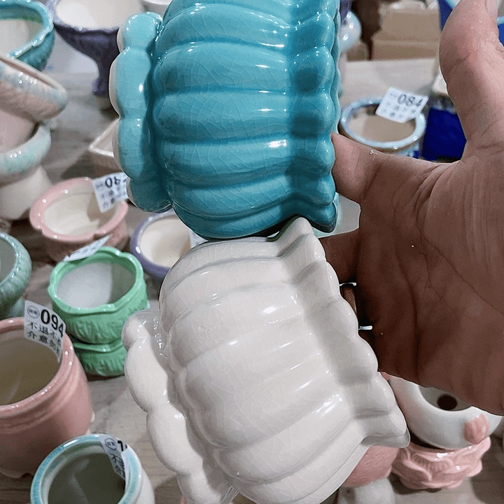 红陶20CM（含）-50CM（不含）