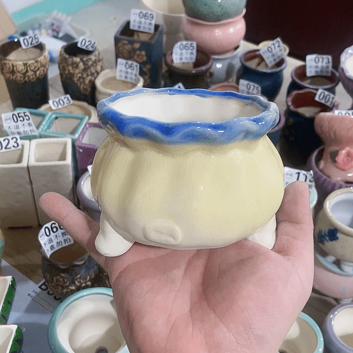 红陶20CM（含）-50CM（不含）