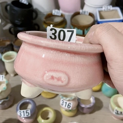 红陶订单凑12包邮