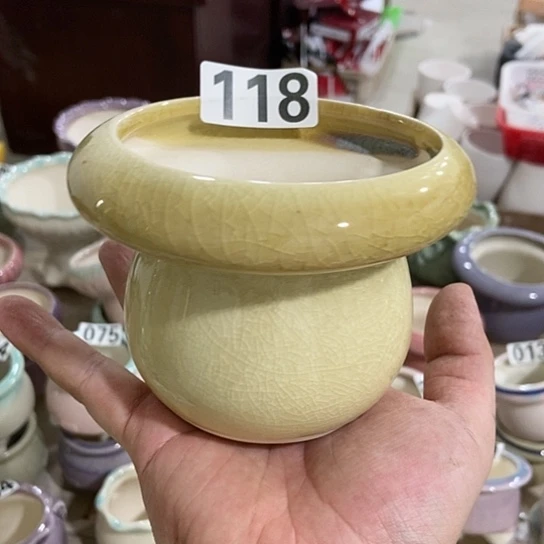 红陶20CM（含）-50CM（不含）