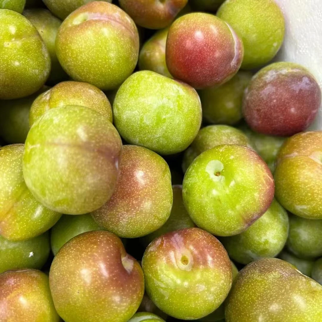 半边红李（约500g）