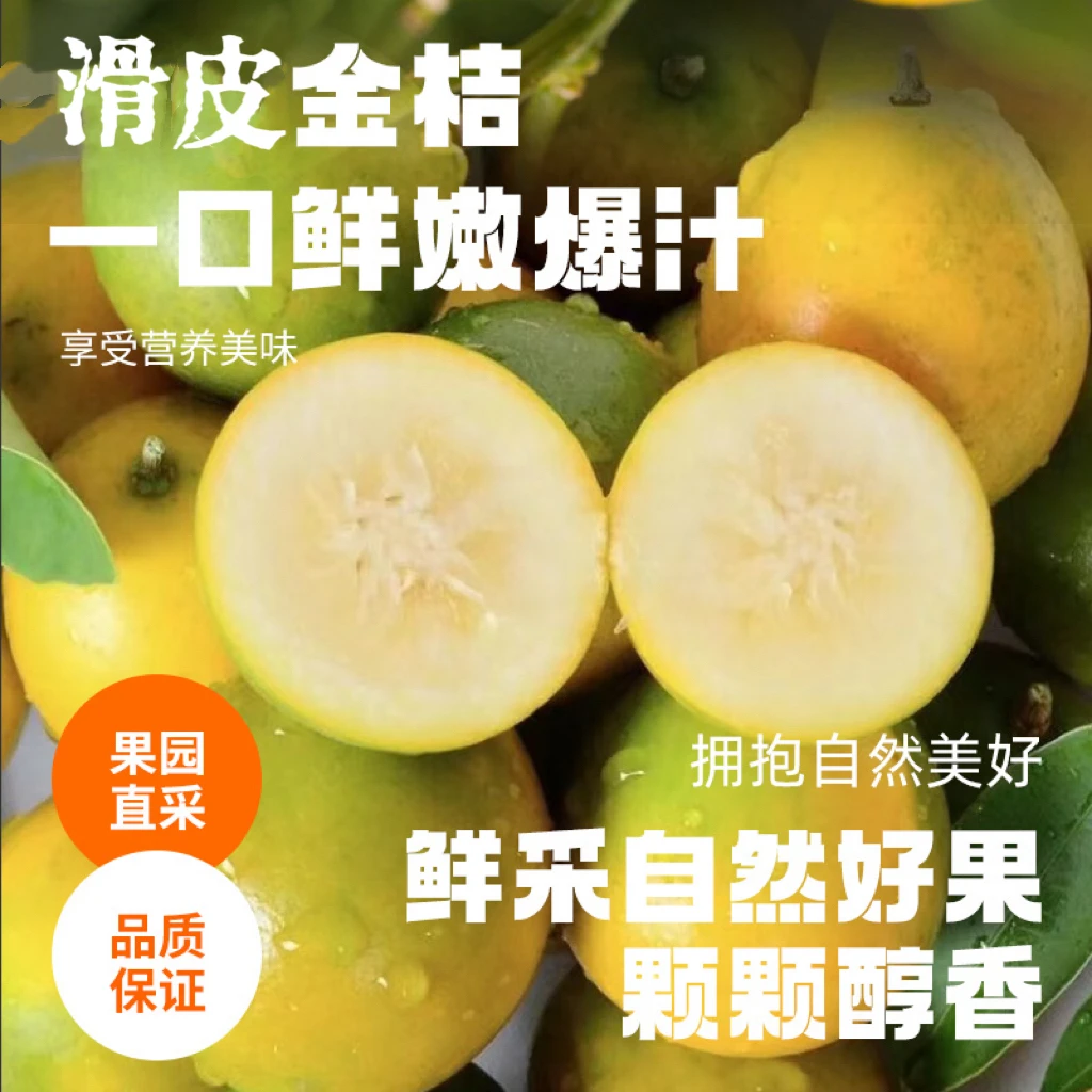 【lc】融安第二代脆皮小金桔带箱2斤 小果金桔产品