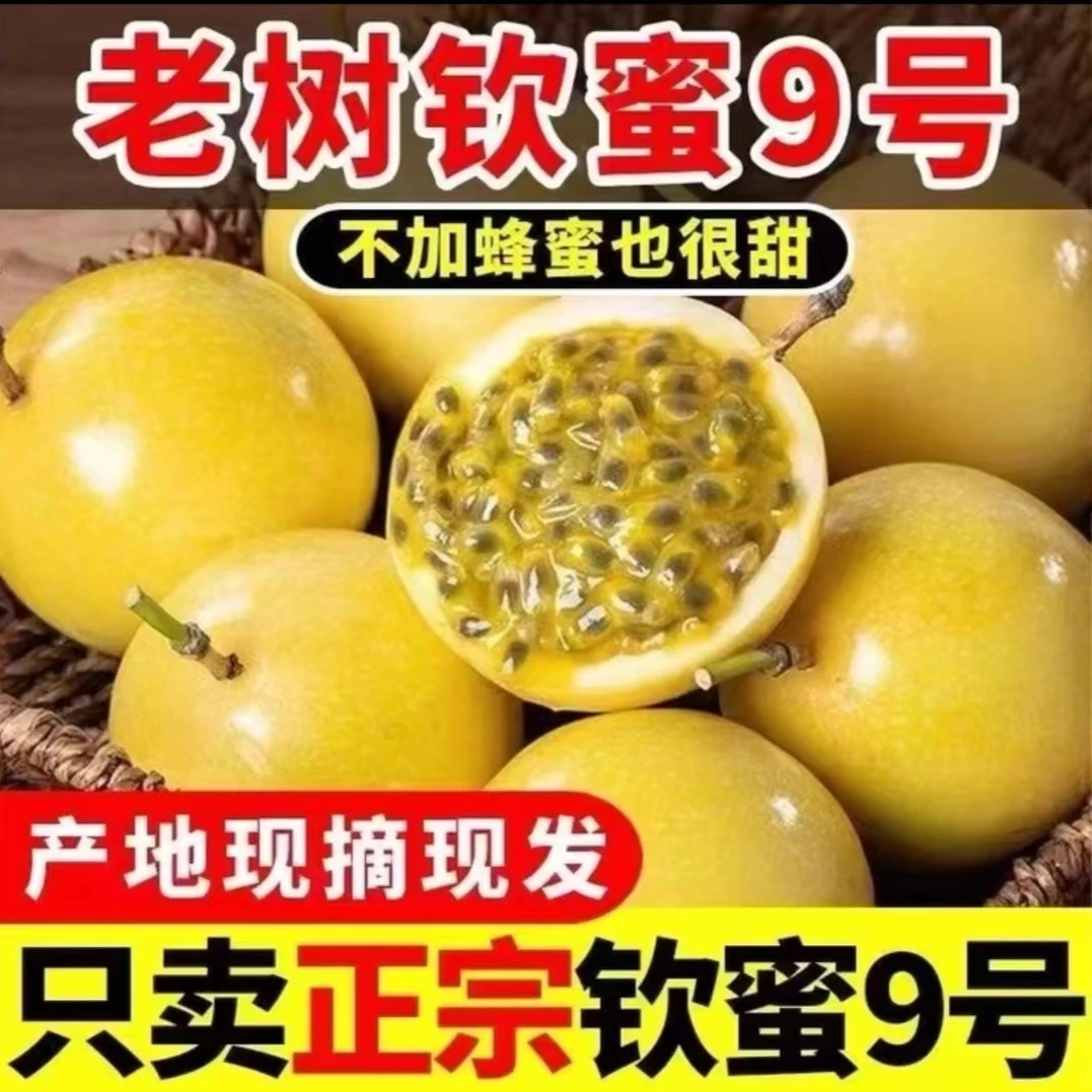 【坏果包赔】广西钦蜜九号黄金百香果4斤装  香甜营养多汁口感
