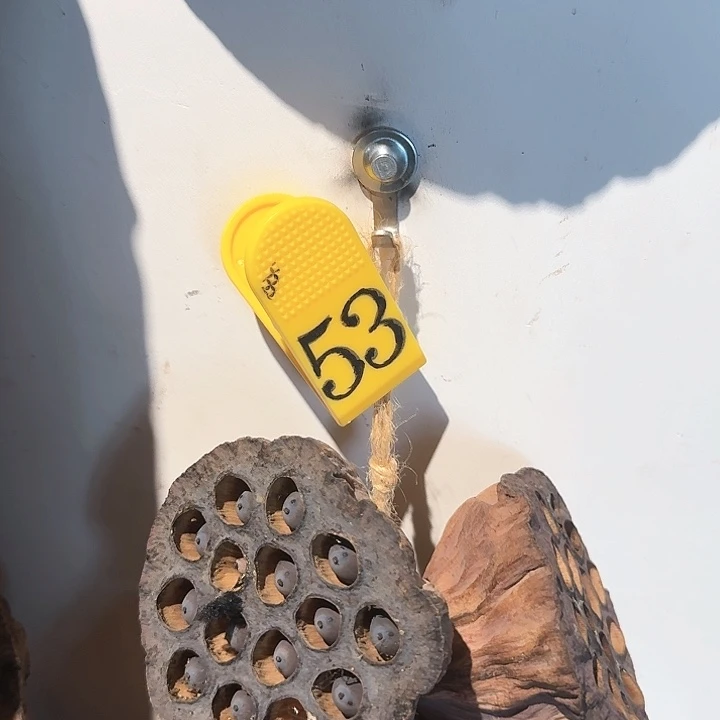 羽**生莲蓬挂件一串工艺品