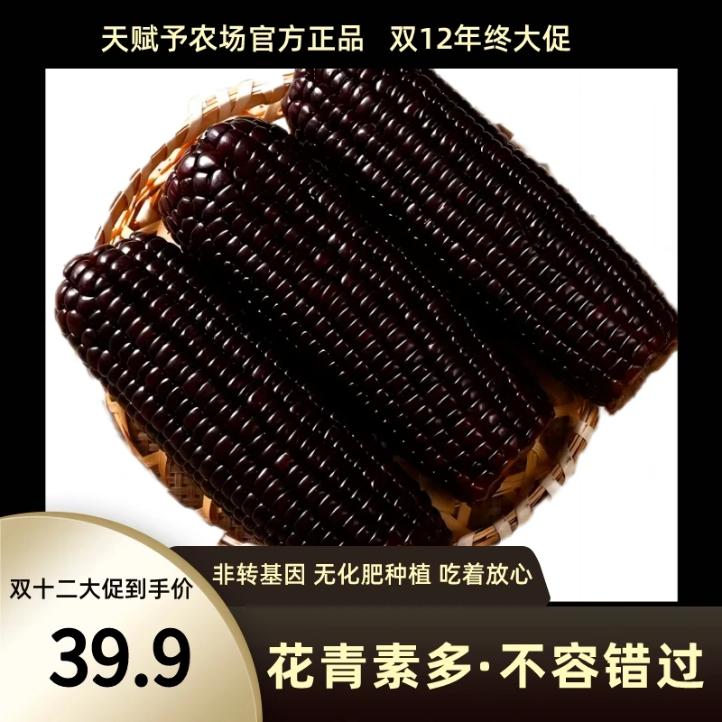 【东北头茬】天赋予农场黑糯玉米200克以上8支