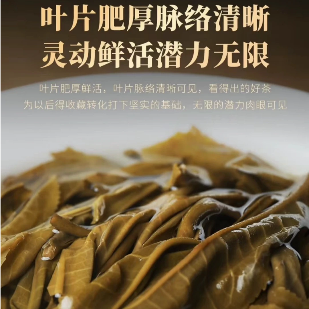 【绝版茶王树】100g-2012-老班章茶王树古树生茶春茶-散茶