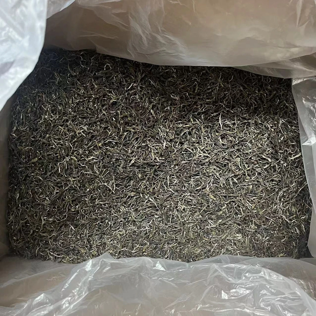 纯老品种全小叶-2024年曼松王子山红土地头春头采100克生茶散茶