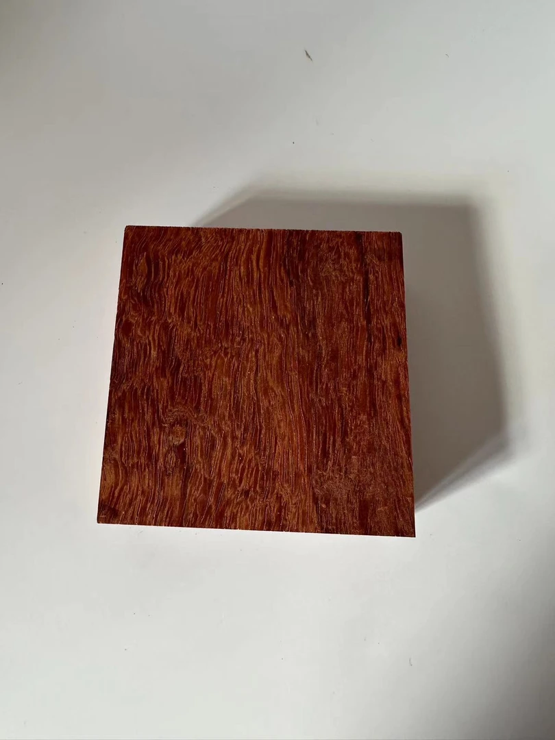 缅甸花梨大果紫檀