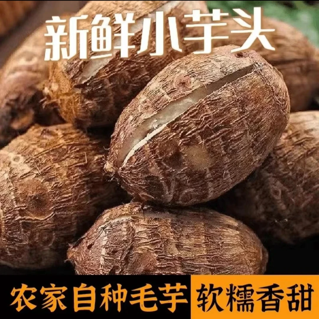 XC【净重5斤】农家自种新鲜牛奶小芋头 软糯香甜芋头5斤装