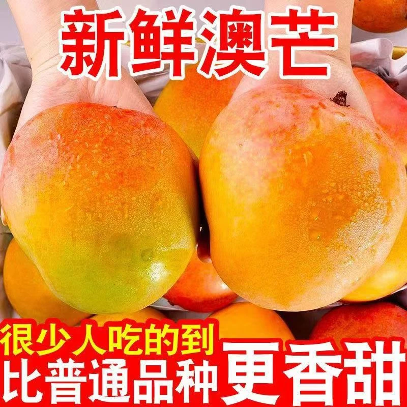 【越南澳芒】澳芒果香甜饱满多汁9斤装当季水果