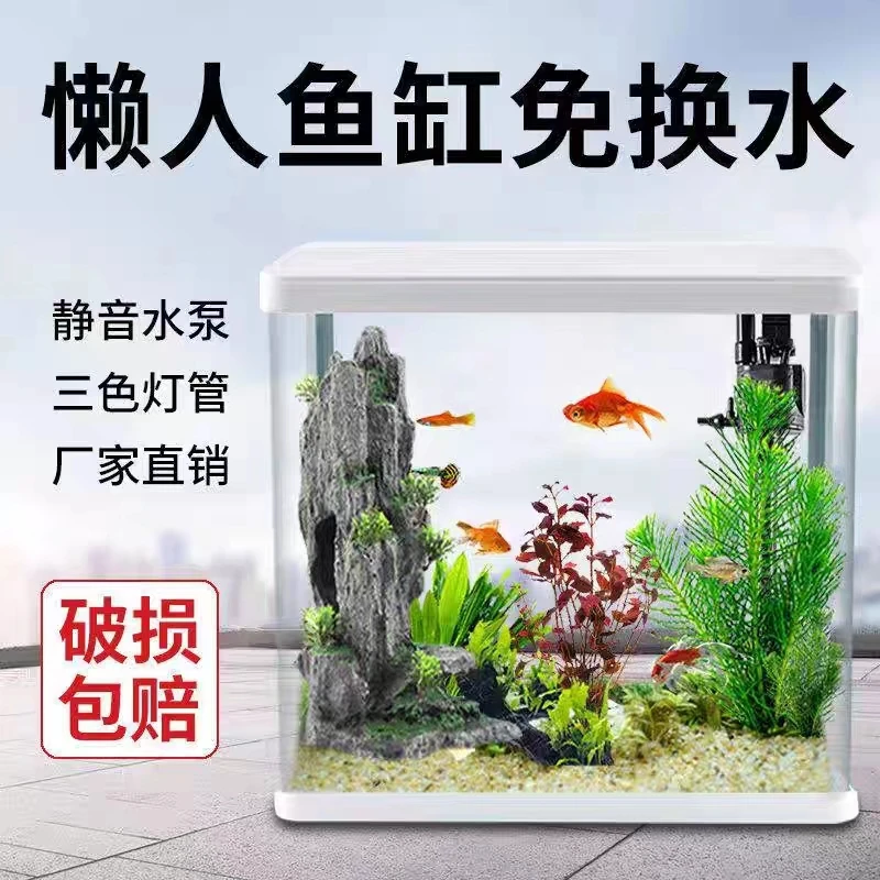 【清仓】新手免换水过滤带氧气中小型迷你生态造景三合一懒人玻璃