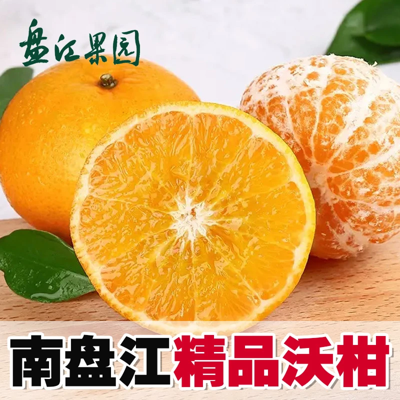 盘江果园精品沃柑新鲜水果当季整箱一级沙糖蜜橘砂糖柑橘桔子橘子