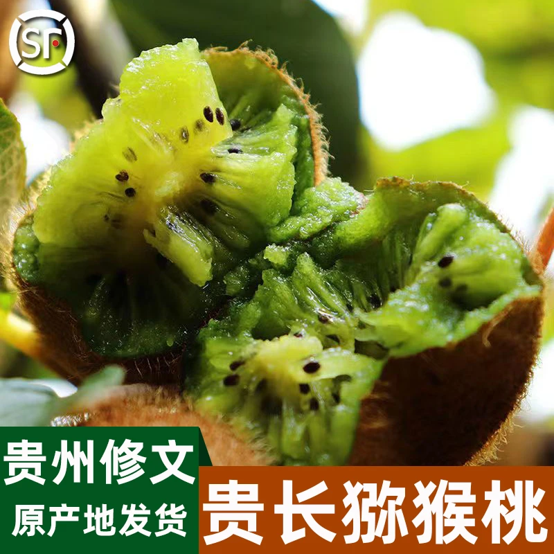 【甄选自营】贵州修文猕猴桃新鲜水果5斤9斤精选大果贵长奇异果绿心