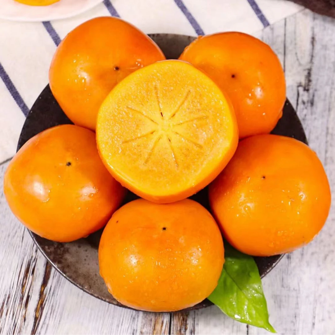 【产地直发】山西运城巧克力柿子脆爽可口新鲜采摘