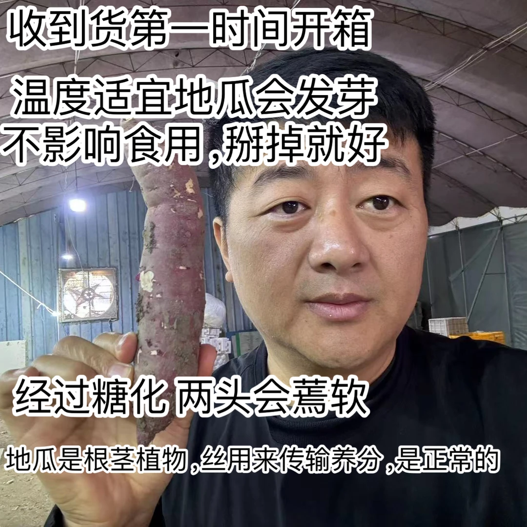 【京东】红瑶地瓜   净重4.8斤发芽断裂破皮不影响食用介意勿拍