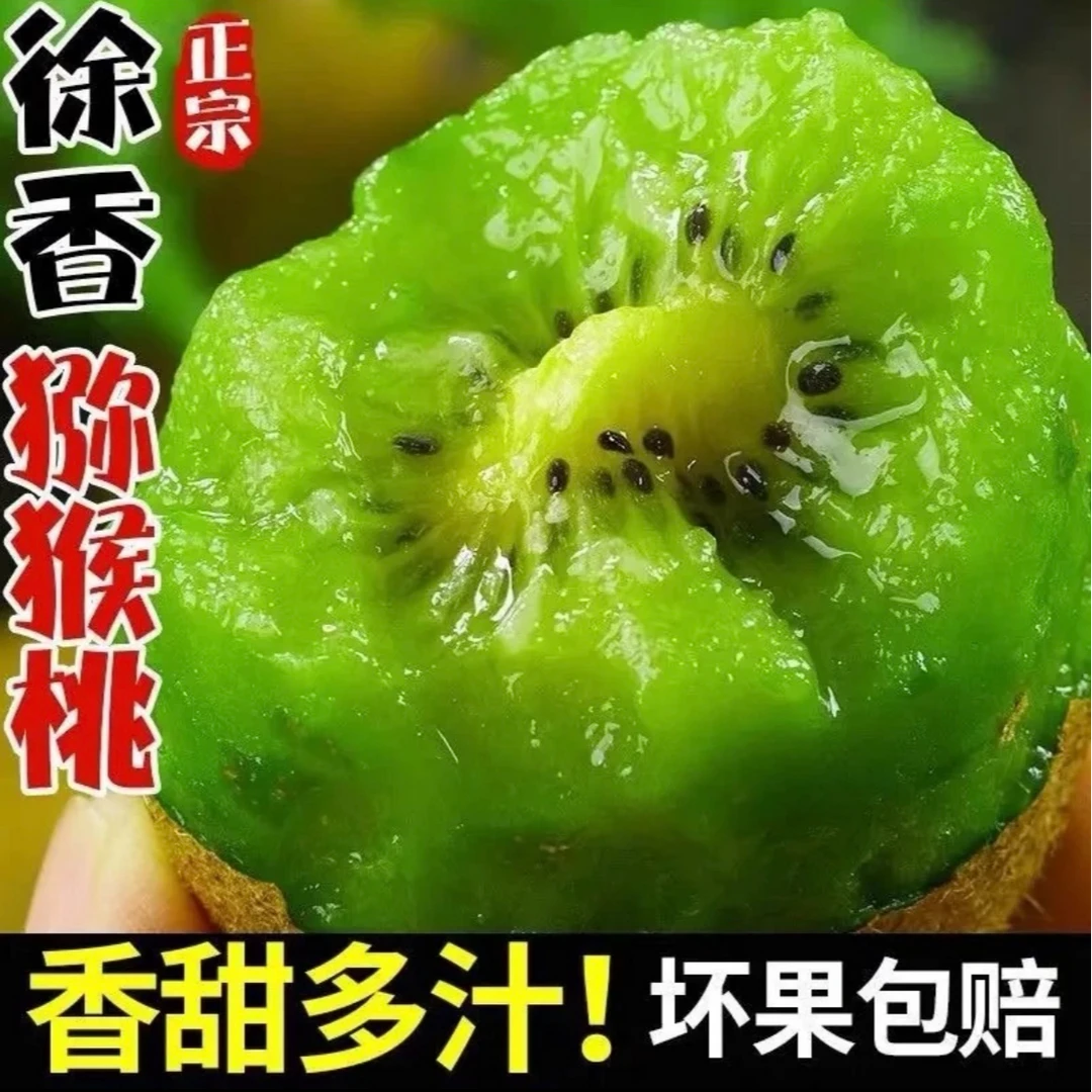陕西徐香猕猴桃甜蜜多汁细腻软糯奇异果新鲜应季水果坏果包赔