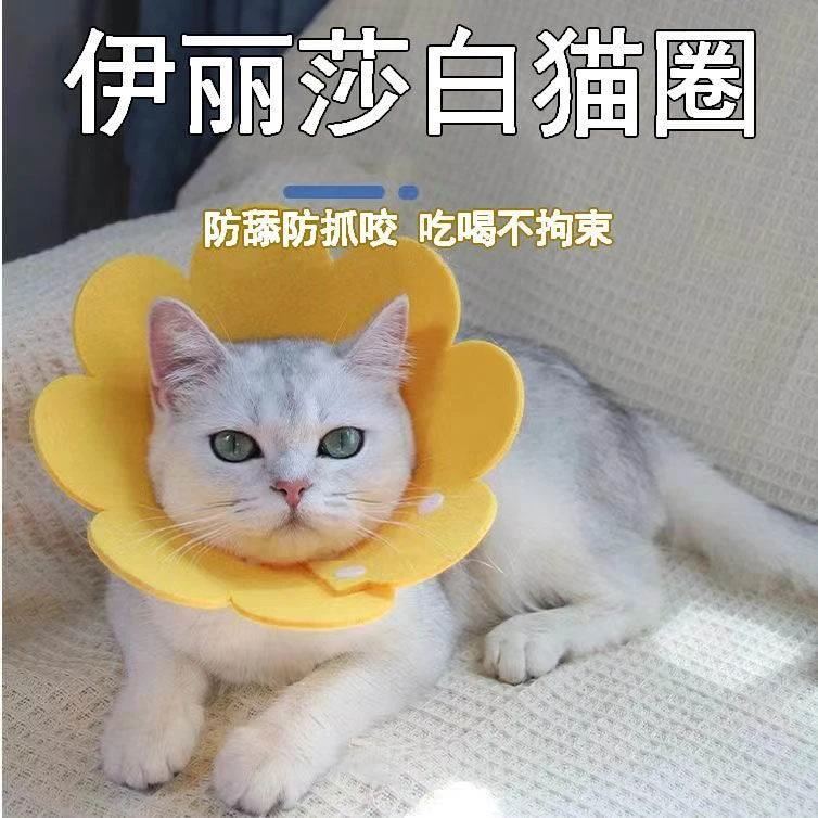 伊丽莎白圈猫咪狗狗防舔咬项圈伊莉伊利沙白羞耻圈耻辱圈绝育用品