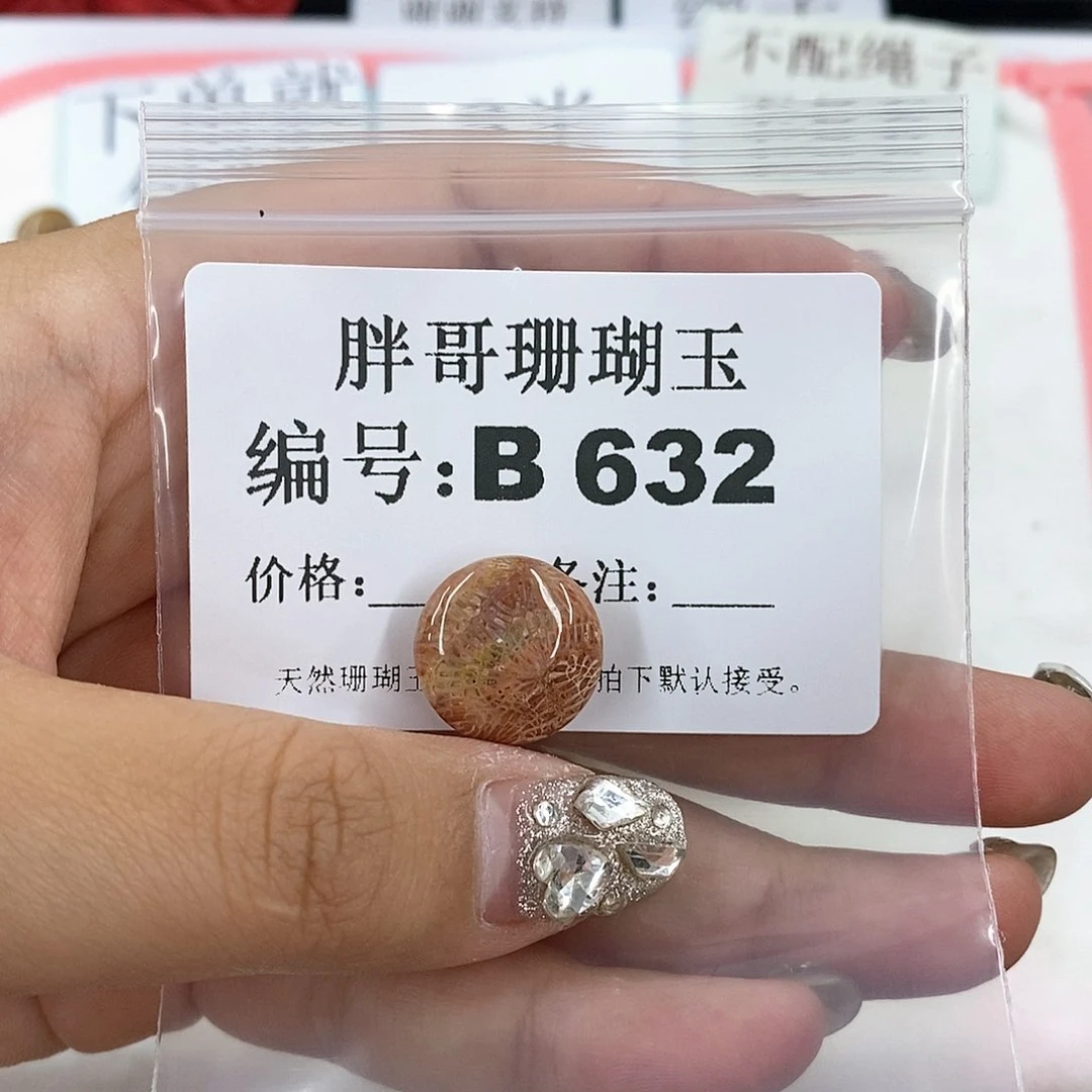 硅化珊瑚（珊瑚玉）B632未镶嵌养***羊