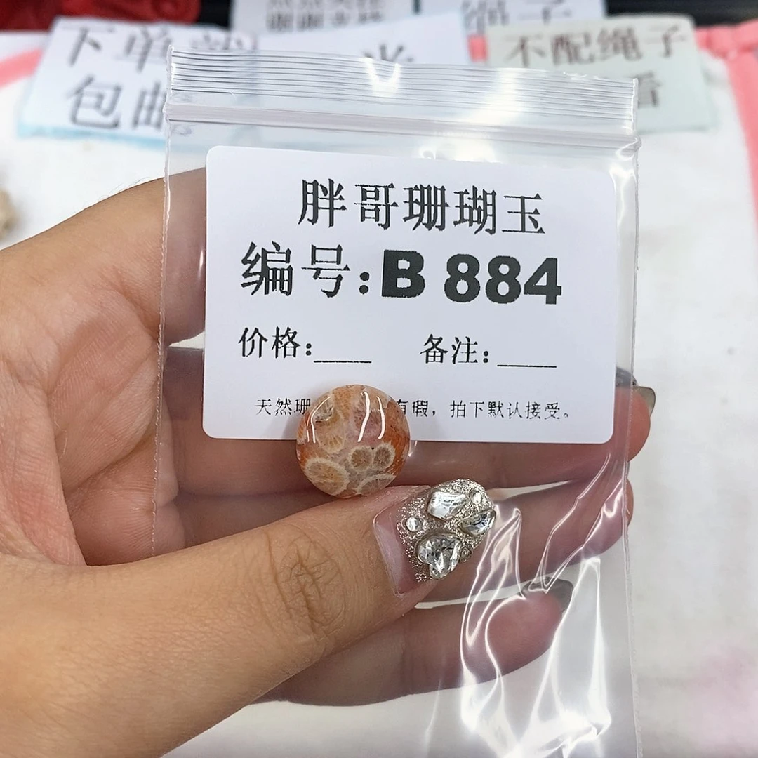 硅化珊瑚（珊瑚玉）B884未镶嵌对**晚
