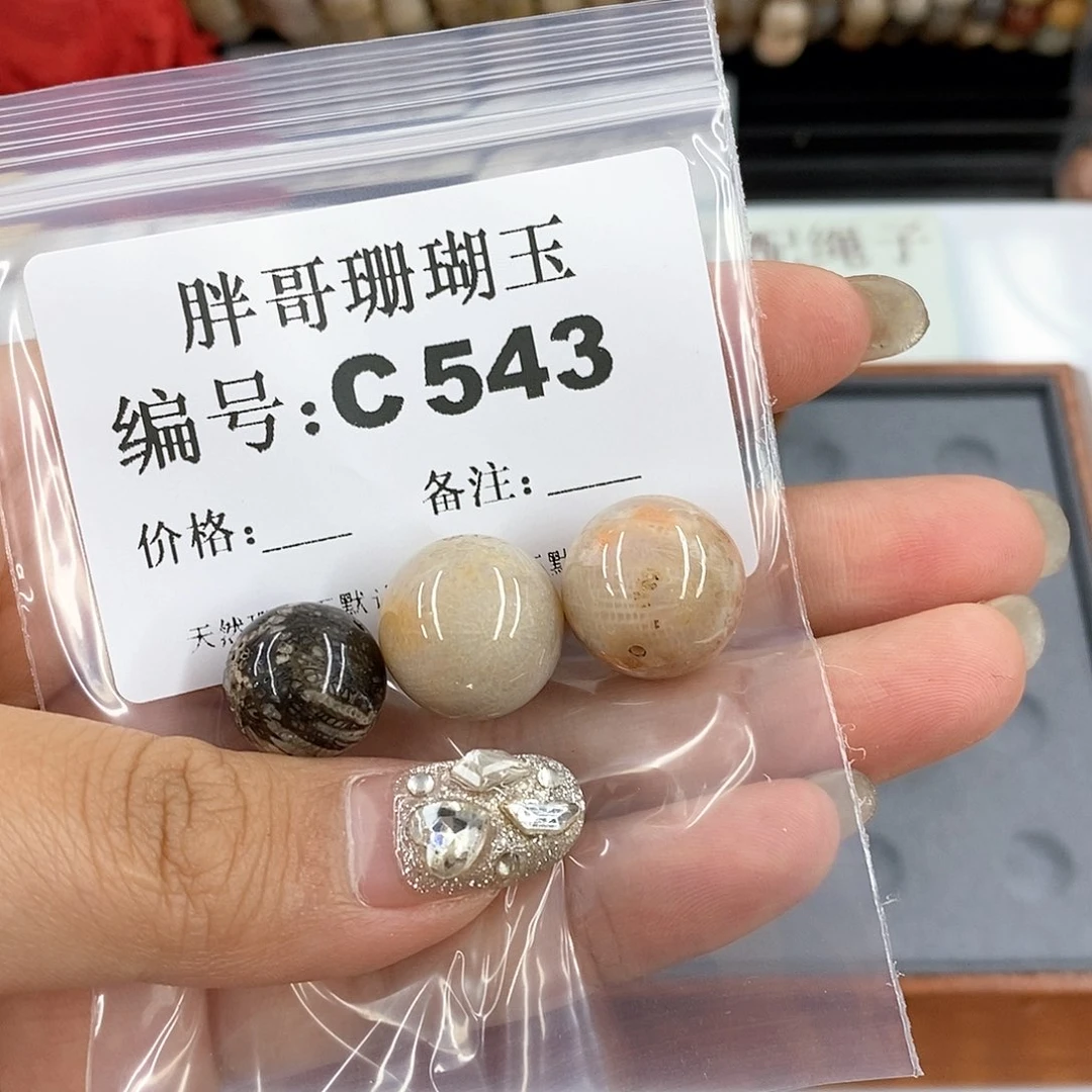 硅化珊瑚（珊瑚玉）C543未镶嵌谷*