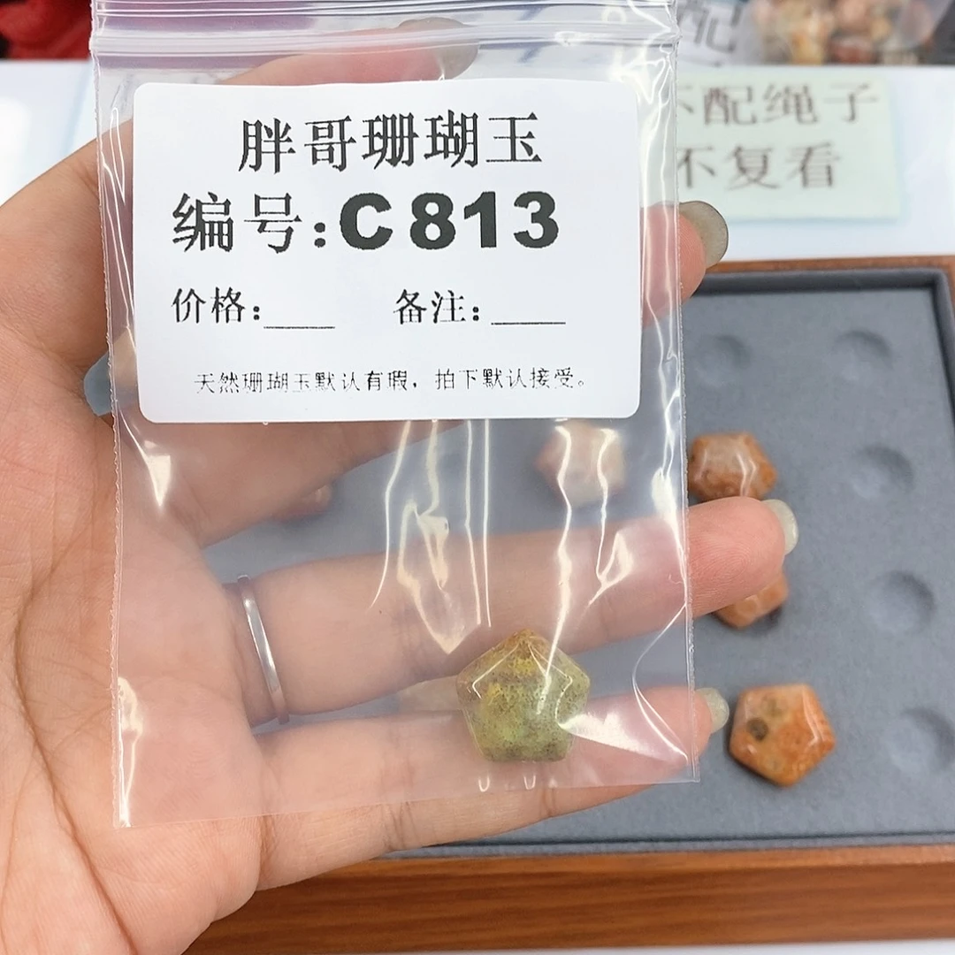 硅化珊瑚（珊瑚玉）C813未镶嵌碧*